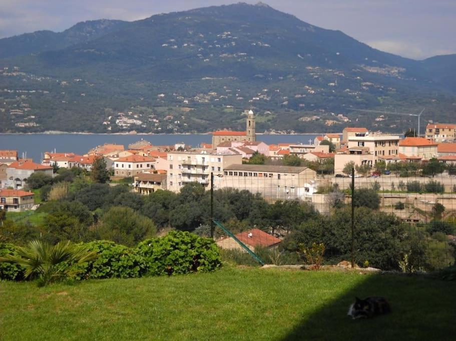 T3 En Rdj Pour 6 Pers Dans Residence Avec Piscine Propriano  Esterno foto